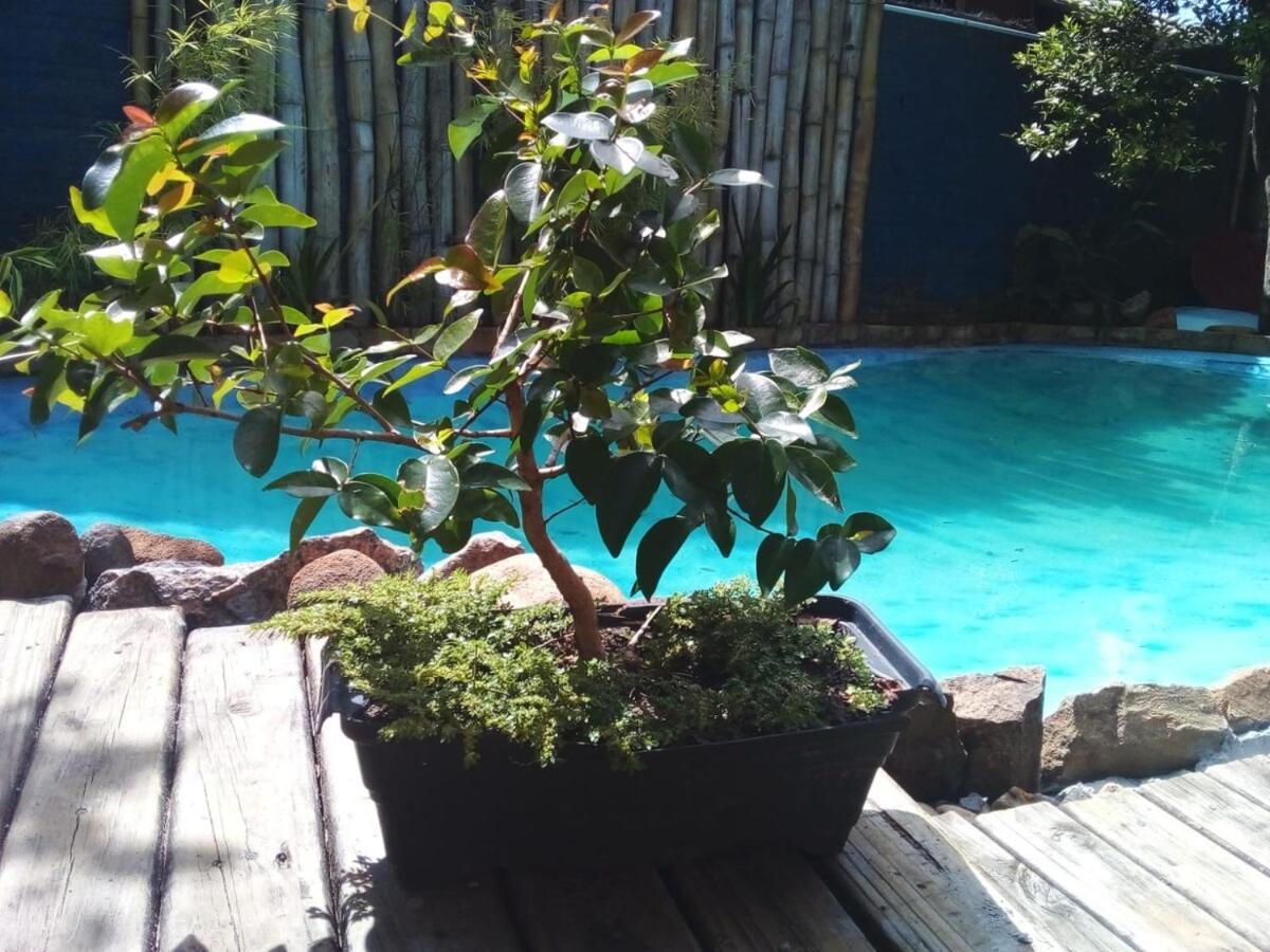 Casa de Férias Atelier House Florianópolis